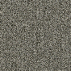 Ковровая плитка Modulyss Millennium Nxtgen Millennium Nxtgen 817 фото 1 | FLOORDEALER